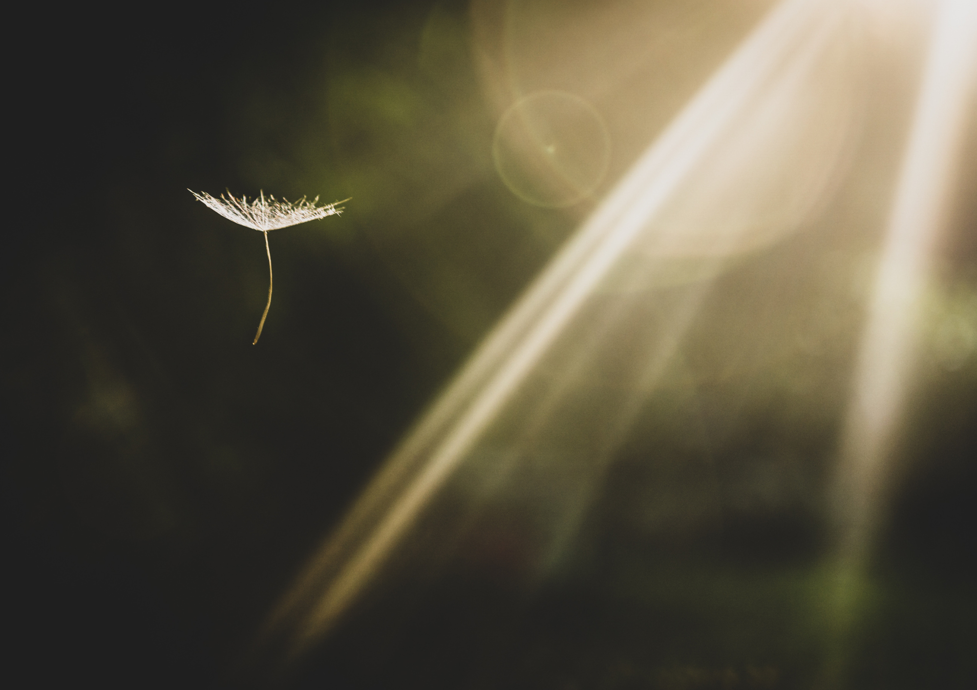 37 järjestöä vetoaa: lasten oikeuksia ei saa heikentää sosiaalihuollon uudistuksissa